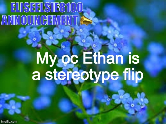 EliseElsie8100 Announcement | My oc Ethan is a stereotype flip | image tagged in eliseelsie8100 announcement | made w/ Imgflip meme maker