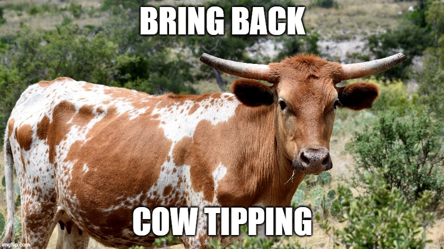 Cow Tipping | BRING BACK; COW TIPPING | image tagged in bring,back | made w/ Imgflip meme maker