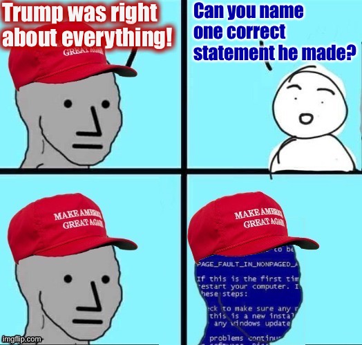NPC MAGA blue screen fixed textboxes | Trump was right about everything! Can you name one correct statement he made? | image tagged in npc maga blue screen fixed textboxes | made w/ Imgflip meme maker