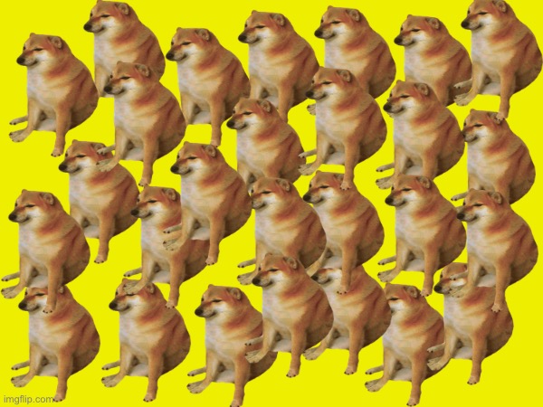 Just a bunch of cheems doges cuz I was bored | image tagged in cheems,bored | made w/ Imgflip meme maker