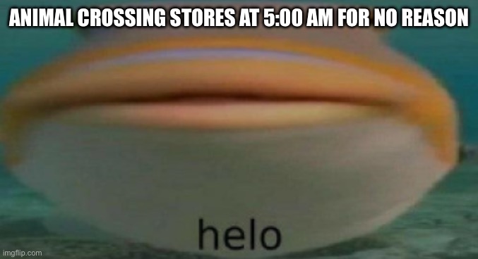 who gon be playin that late??? | ANIMAL CROSSING STORES AT 5:00 AM FOR NO REASON | image tagged in helo,animal crossing | made w/ Imgflip meme maker
