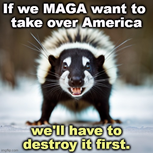 Extreme MAGA wants Extreme Chaos and Extreme Destruction. | If we MAGA want to 
take over America; we'll have to destroy it first. | image tagged in extreme,right wing,chaos,destruction,maga | made w/ Imgflip meme maker