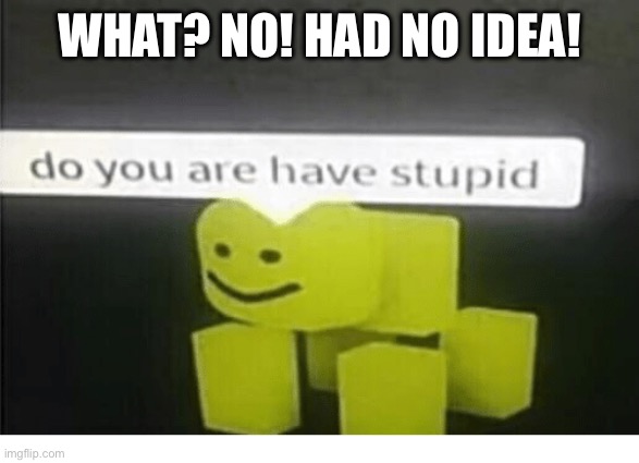 do u have are stupid | WHAT? NO! HAD NO IDEA! | image tagged in do u have are stupid | made w/ Imgflip meme maker