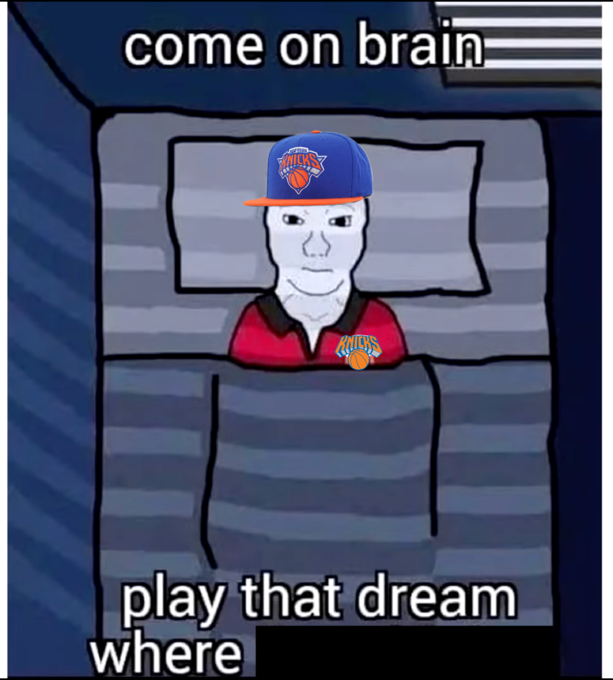 Come on brain knicks Blank Meme Template