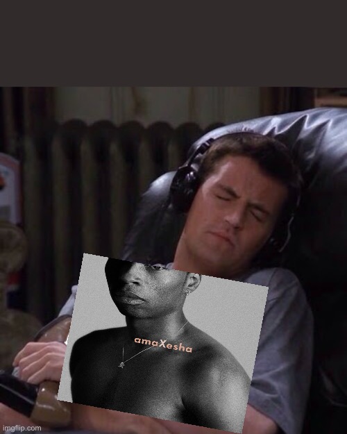 chandler hugging album | image tagged in chandler hugging album | made w/ Imgflip meme maker