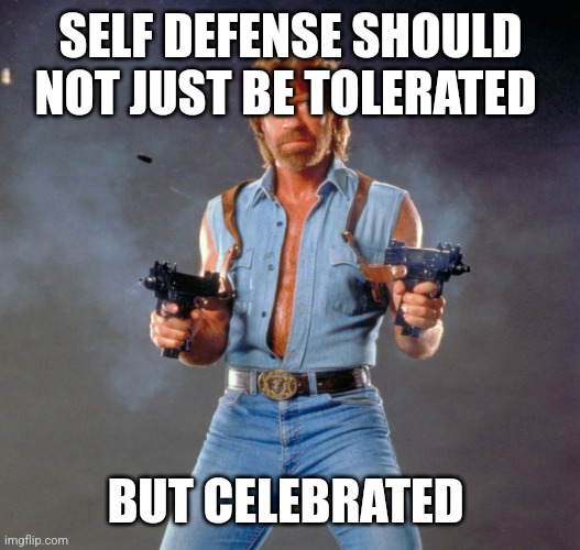 Chuck Norris Guns | SELF DEFENSE SHOULD NOT JUST BE TOLERATED; BUT CELEBRATED | image tagged in memes,chuck norris guns,chuck norris | made w/ Imgflip meme maker
