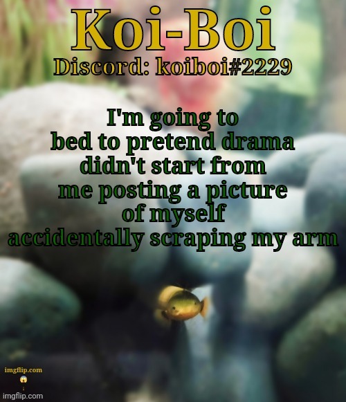 I'm going to bed to pretend drama didn't start from me posting a picture of myself accidentally scraping my arm | image tagged in rope fish template | made w/ Imgflip meme maker