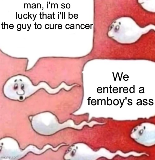 Sperm conversation | man, i'm so lucky that i'll be the guy to cure cancer; We entered a femboy's ass | image tagged in sperm conversation | made w/ Imgflip meme maker