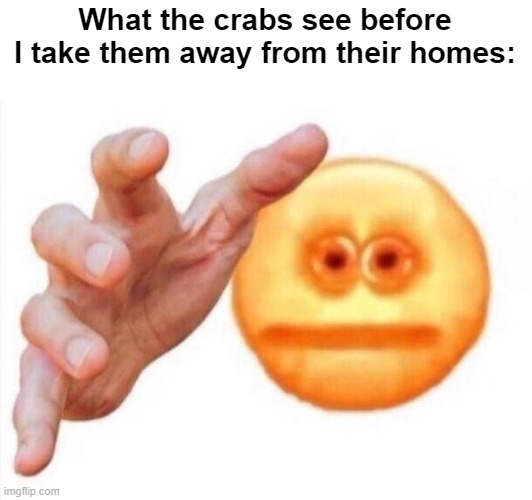 Crab-napping | What the crabs see before I take them away from their homes: | image tagged in cursed emoji hand grabbing,memes,funny,crab | made w/ Imgflip meme maker