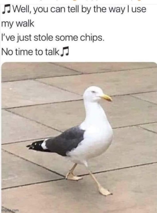Staying alive | image tagged in staying alive,disco,bird,chips,fries,seagull | made w/ Imgflip meme maker