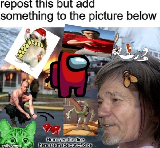 What it says | image tagged in funny | made w/ Imgflip meme maker