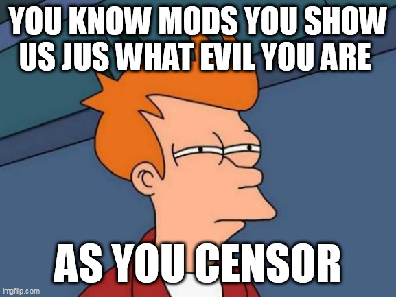 Futurama Fry Meme | YOU KNOW MODS YOU SHOW US JUS WHAT EVIL YOU ARE; AS YOU CENSOR | image tagged in memes,futurama fry | made w/ Imgflip meme maker