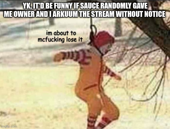 im about to mcfucking lose it | YK, IT'D BE FUNNY IF SAUCE RANDOMLY GAVE ME OWNER AND I ARKUUM THE STREAM WITHOUT NOTICE | image tagged in im about to mcfucking lose it | made w/ Imgflip meme maker