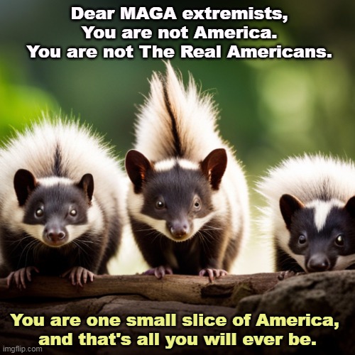 A note to Extreme MAGA | Dear MAGA extremists,
You are not America.
You are not The Real Americans. You are one small slice of America, 
and that's all you will ever be. | image tagged in maga,right wing,white supremacists,small,minorities | made w/ Imgflip meme maker