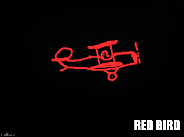 Black background | RED BIRD | image tagged in black background | made w/ Imgflip meme maker