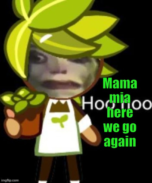 Mama mia my my how can i resist ya? | Mama mia here we go again | image tagged in hoo hoo | made w/ Imgflip meme maker