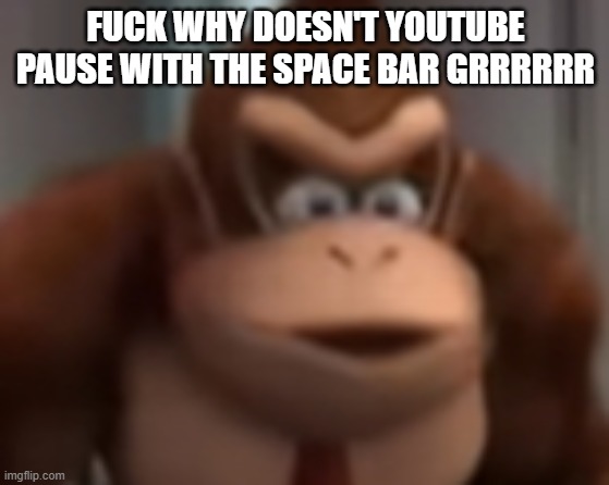 kinkey dong | FUCK WHY DOESN'T YOUTUBE PAUSE WITH THE SPACE BAR GRRRRRR | image tagged in kinkey dong | made w/ Imgflip meme maker