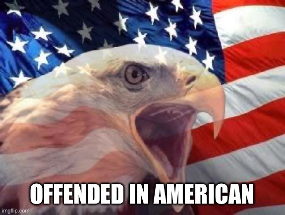 Patriotic Eagle | OFFENDED IN AMERICAN | image tagged in patriotic eagle | made w/ Imgflip meme maker