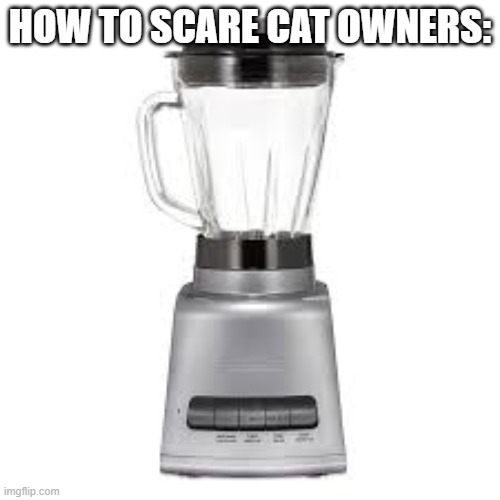 how to scare cat owners | HOW TO SCARE CAT OWNERS: | image tagged in cats,blender | made w/ Imgflip meme maker