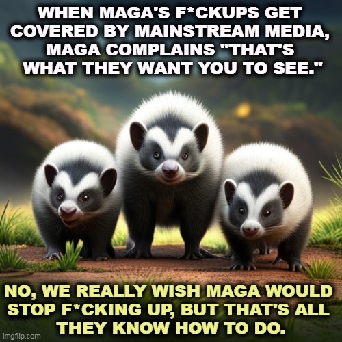 So, how's that Lightning War going? | WHEN MAGA'S F*CKUPS GET 
COVERED BY MAINSTREAM MEDIA, 
MAGA COMPLAINS "THAT'S 
WHAT THEY WANT YOU TO SEE."; NO, WE REALLY WISH MAGA WOULD 
STOP F*CKING UP, BUT THAT'S ALL 
THEY KNOW HOW TO DO. | image tagged in maga,republicans,fail,failure,disaster | made w/ Imgflip meme maker