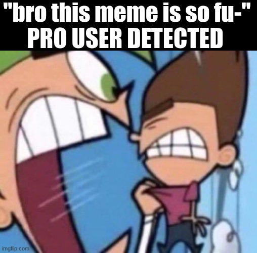 cant have pro in MSMG | "bro this meme is so fu-"; PRO USER DETECTED | image tagged in cosmo yelling at timmy,get real,silly | made w/ Imgflip meme maker