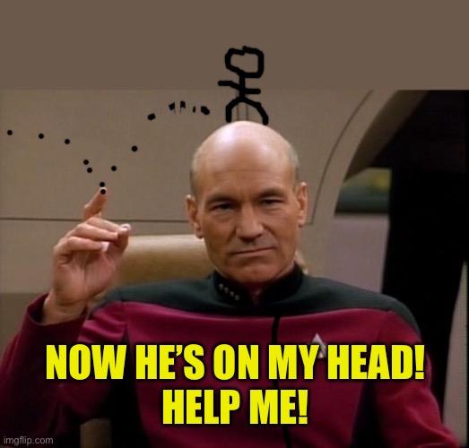 Picard Make it so | NOW HE’S ON MY HEAD!
HELP ME! | image tagged in picard make it so | made w/ Imgflip meme maker