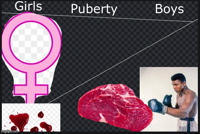 hehehaha | image tagged in girls v s boys puberty | made w/ Imgflip meme maker