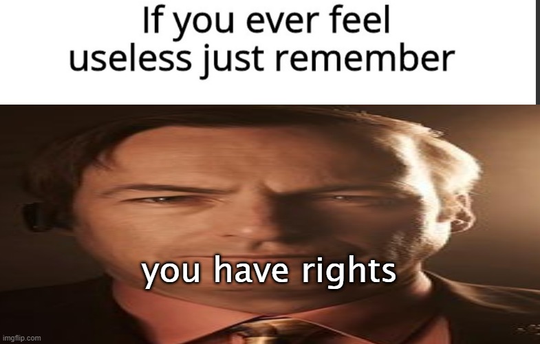 saul | you have rights | image tagged in memes,saul goodman | made w/ Imgflip meme maker