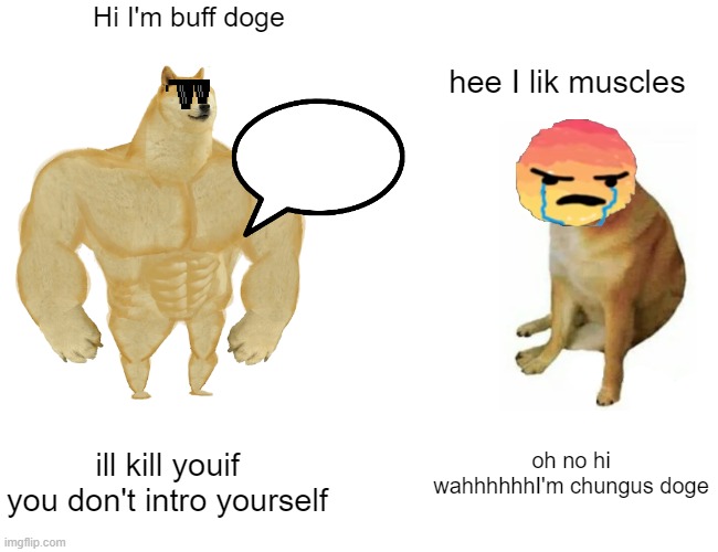 Buff Doge vs. Cheems | Hi I'm buff doge; hee I lik muscles; oh no hi wahhhhhhI'm chungus doge; ill kill youif you don't intro yourself | image tagged in memes,buff doge vs cheems | made w/ Imgflip meme maker