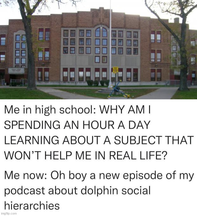 image tagged in high school | made w/ Imgflip meme maker