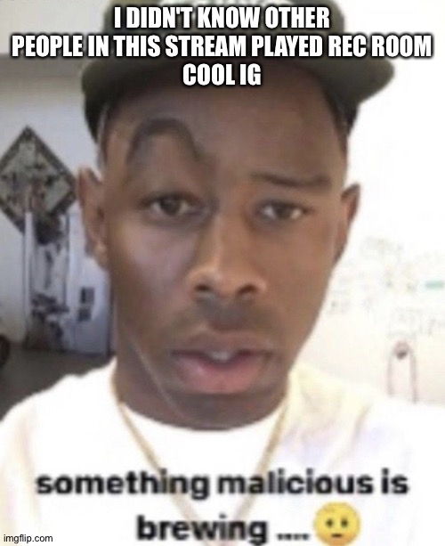 Something malicious is brewing | I DIDN'T KNOW OTHER PEOPLE IN THIS STREAM PLAYED REC ROOM
COOL IG | image tagged in something malicious is brewing | made w/ Imgflip meme maker