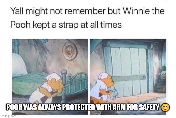 Pooh was always protected | POOH WAS ALWAYS PROTECTED WITH ARM FOR SAFETY 😊 | image tagged in funny memes,winnie the pooh with a gun,always kept a firearm | made w/ Imgflip meme maker