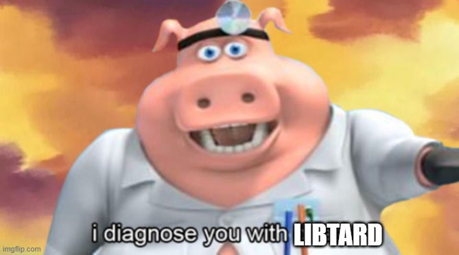 new template | LIBTARD | image tagged in i diagnose you with dead | made w/ Imgflip meme maker