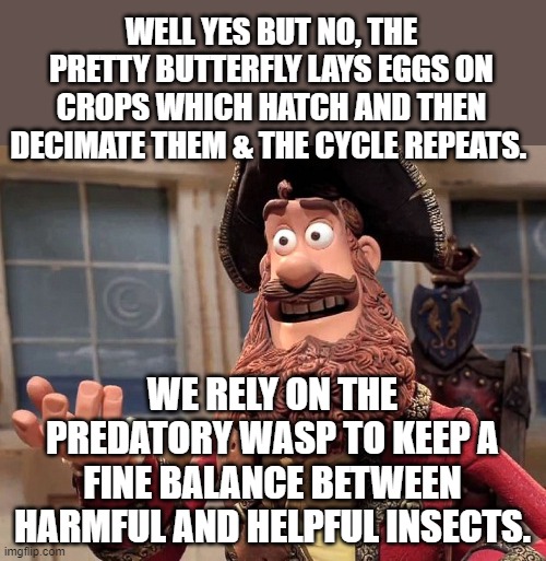 Well yes, but actually no | WELL YES BUT NO, THE PRETTY BUTTERFLY LAYS EGGS ON CROPS WHICH HATCH AND THEN DECIMATE THEM & THE CYCLE REPEATS. WE RELY ON THE PREDATORY WA | image tagged in well yes but actually no | made w/ Imgflip meme maker