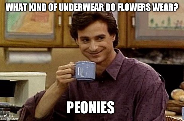 Flower undergarments | WHAT KIND OF UNDERWEAR DO FLOWERS WEAR? PEONIES | image tagged in dad joke | made w/ Imgflip meme maker
