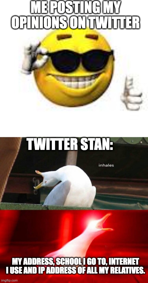 ME POSTING MY OPINIONS ON TWITTER; TWITTER STAN:; MY ADDRESS, SCHOOL I GO TO, INTERNET I USE AND IP ADDRESS OF ALL MY RELATIVES. | image tagged in inhaling seagull | made w/ Imgflip meme maker