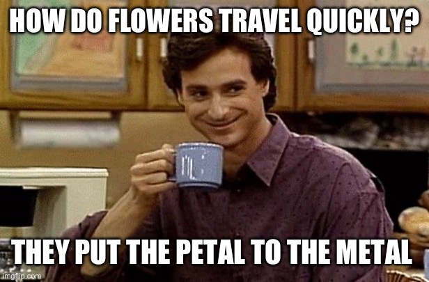 Flower Power | HOW DO FLOWERS TRAVEL QUICKLY? THEY PUT THE PETAL TO THE METAL | image tagged in dad joke | made w/ Imgflip meme maker