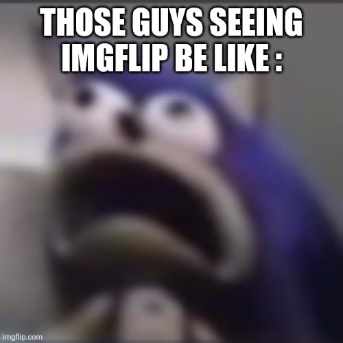 distress | THOSE GUYS SEEING IMGFLIP BE LIKE : | image tagged in distress | made w/ Imgflip meme maker