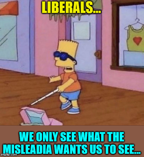 Blind Bart Simpson | LIBERALS... WE ONLY SEE WHAT THE MISLEADIA WANTS US TO SEE... | image tagged in blind bart simpson | made w/ Imgflip meme maker