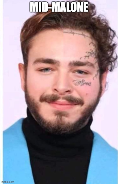 bottom text | MID-MALONE | image tagged in funni,memes,funny,pre malone,post malone,stop reading these tags | made w/ Imgflip meme maker