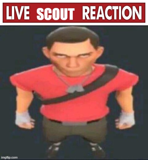 SCOUT | image tagged in live x reaction,scout stare | made w/ Imgflip meme maker
