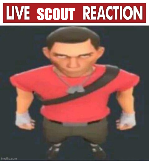 live scout reaction Blank Meme Template