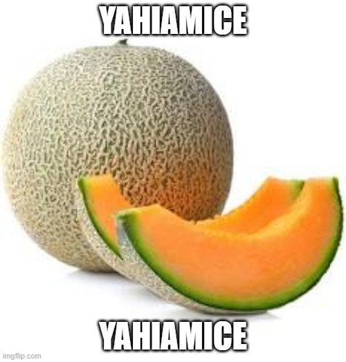 YAHIAMICE | YAHIAMICE; YAHIAMICE | image tagged in yahiamice | made w/ Imgflip meme maker