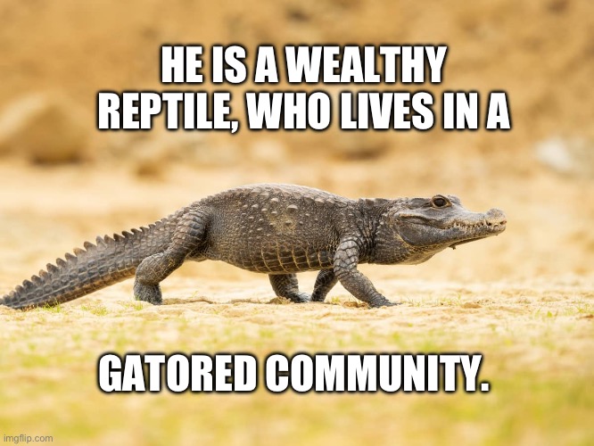 Well kept | HE IS A WEALTHY REPTILE, WHO LIVES IN A; GATORED COMMUNITY. | image tagged in bad pun | made w/ Imgflip meme maker