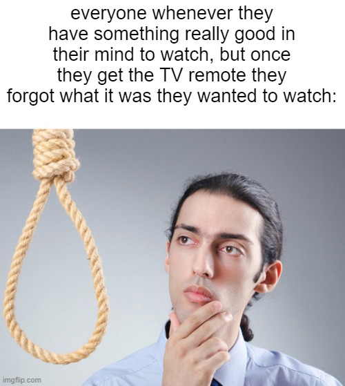 NOOOOOOOOOOOOOOOOOOOOOOO | everyone whenever they have something really good in their mind to watch, but once they get the TV remote they forgot what it was they wanted to watch: | image tagged in noose,memes,bruh,funny,fun,suicide | made w/ Imgflip meme maker