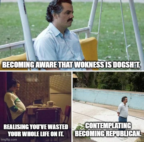 Woke is choked. | BECOMING AWARE THAT WOKNESS IS DOGSH*T. REALISING YOU'VE WASTED YOUR WHOLE LIFE ON IT. CONTEMPLATING BECOMING REPUBLICAN. | image tagged in memes,sad pablo escobar,woke,wholesome,republican,funny | made w/ Imgflip meme maker