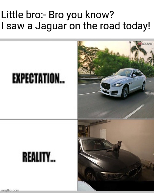 Expectation vs Reality | Little bro:- Bro you know? I saw a Jaguar on the road today! | image tagged in expectation vs reality | made w/ Imgflip meme maker