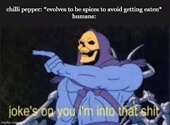 Jokes on you im into that shit | chilli pepper: *evolves to be spices to avoid getting eaten*
humans: | image tagged in jokes on you im into that shit | made w/ Imgflip meme maker