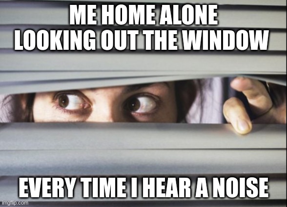 My 10 year old self home alone | ME HOME ALONE LOOKING OUT THE WINDOW; EVERY TIME I HEAR A NOISE | image tagged in home alone,scared | made w/ Imgflip meme maker
