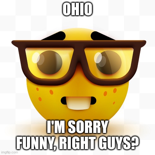 Nerd emoji | OHIO I'M SORRY FUNNY, RIGHT GUYS? | image tagged in nerd emoji | made w/ Imgflip meme maker